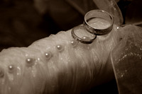 Weddings 11-0034sepia.jpg